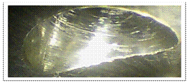 去毛刺|倒角|浮動(dòng)鉸刀柄|滾壓刀